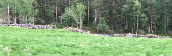 Kombinert steingjerde og rydningsrøys.