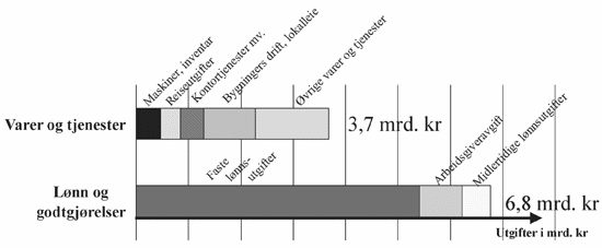 Figur 1.6 Driftsutgifter etter art, regnskap 2000