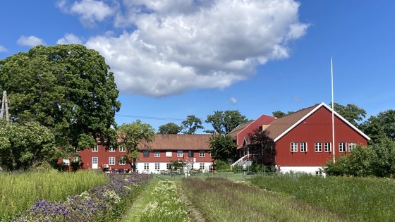 Raudt hus med planter framføre