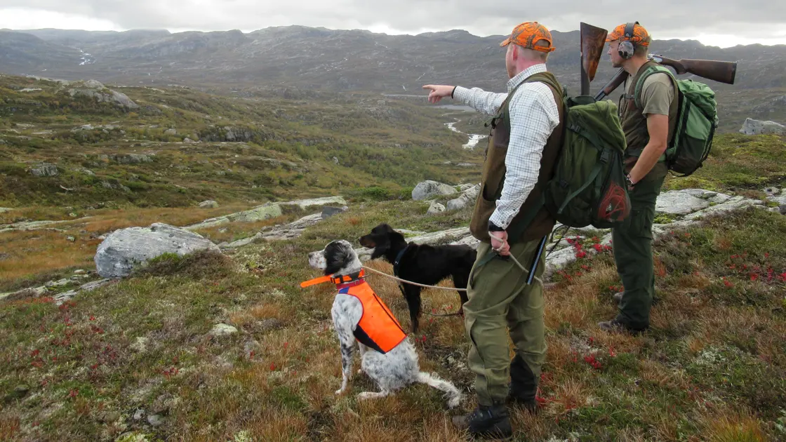Jakt på rype og skogsfugl - regjeringen.no