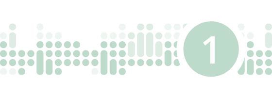 Dekorelement. Innsatsområde 1