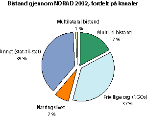 Figur 5.6 Bistand gjennom NORAD 2002, fordelt på kanaler.