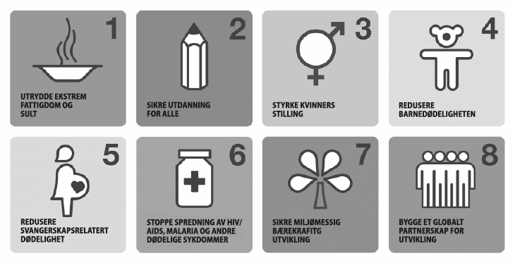 Figur 12.2 FNs tusenårsmål