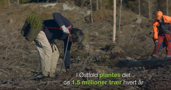 Planting - skogkultur - fra filmen om Østfoldlandbruket.
