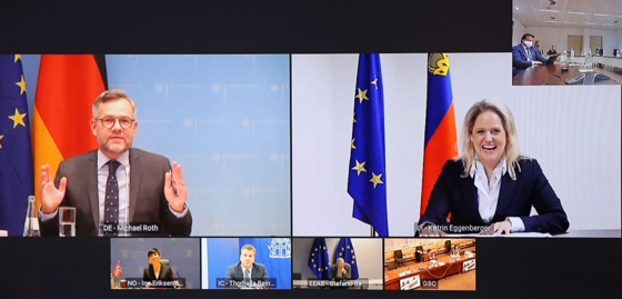 EØS-rådet møttes digitalt.