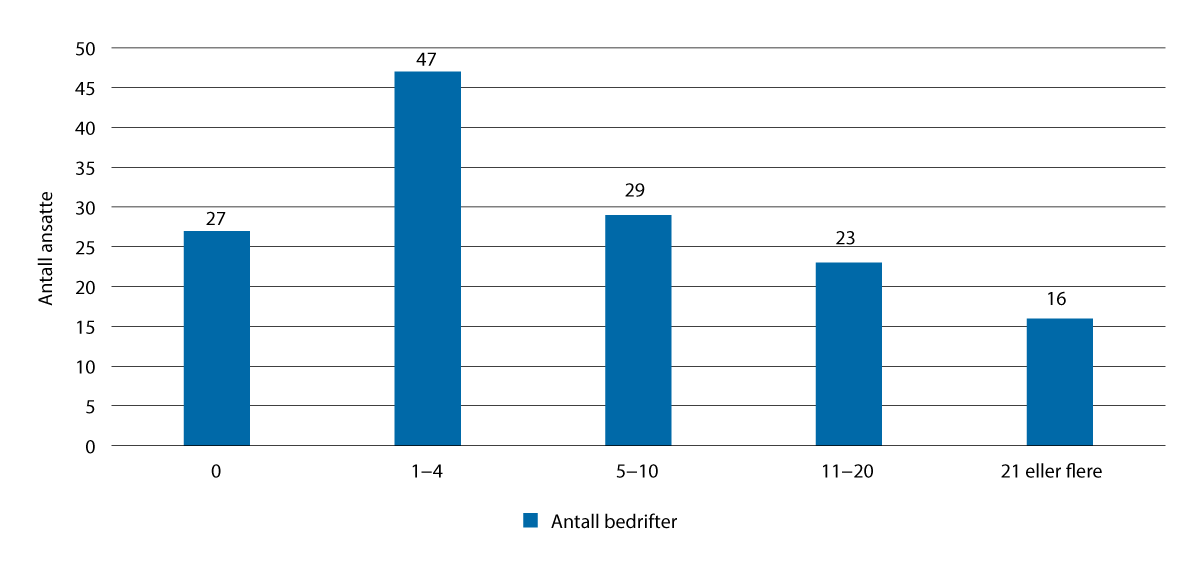 Figur 3.10 Sysselsetting i vekstbedriftene i 2023 (regnskapstall)