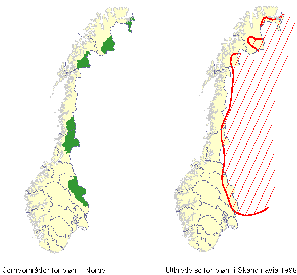 Figur 7-7 Lokalisering av de fem kjerneområdene for bjørn i Norge, samt skandinavisk utbredelseskart fra 1998 (Direktoratet for naturforvaltning).