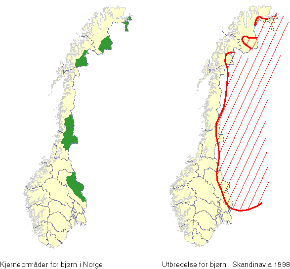 Figur 7-7 Lokalisering av de fem kjerneområdene for bjørn i Norge, samt skandinavisk utbredelseskart fra 1998 (Direktoratet for naturforvaltning).