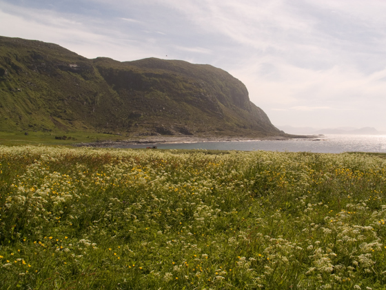 Alnes, kulturlandskap