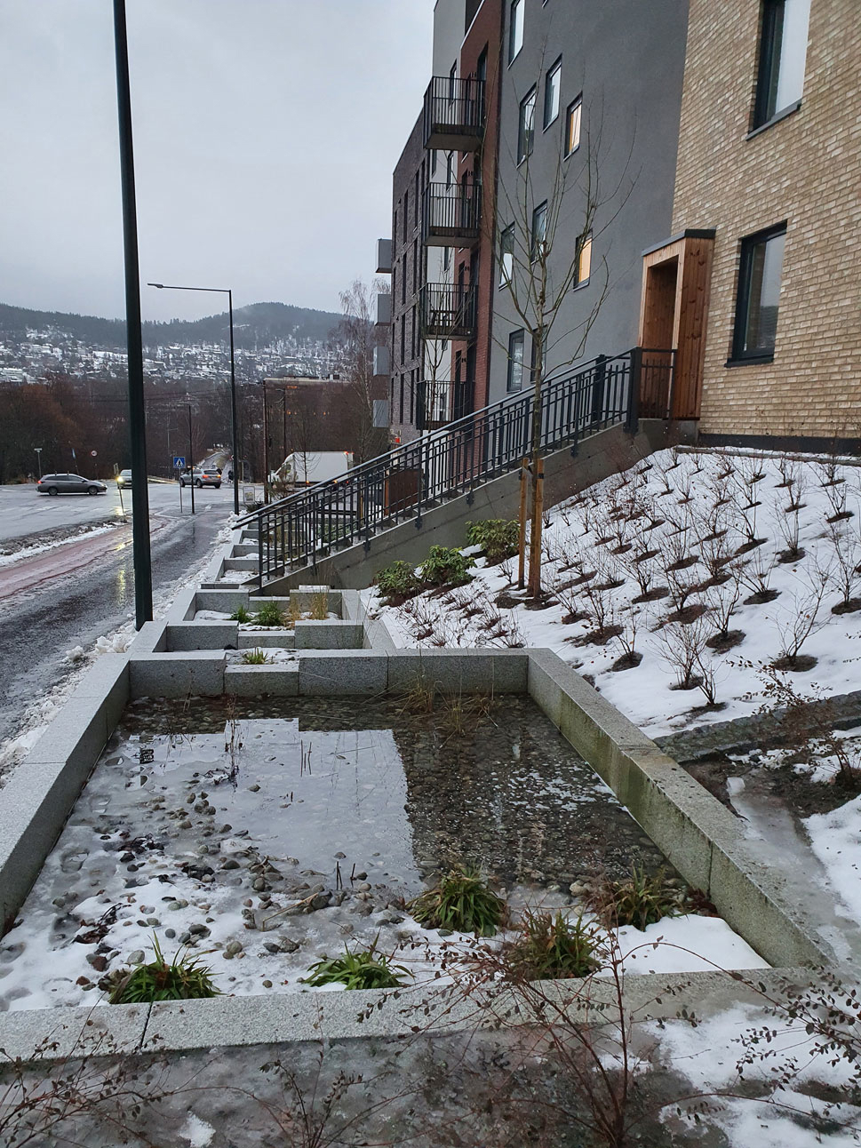 Figur 11.5 Regnbed for infiltrasjon og fordryging av overvatn. Frysja, Oslo.