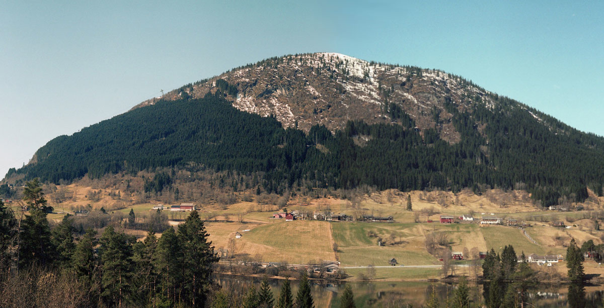 Figur 7.5 Delar av dei bratte skogområda på biletet reduserer fare for naturskade i Voss herad.