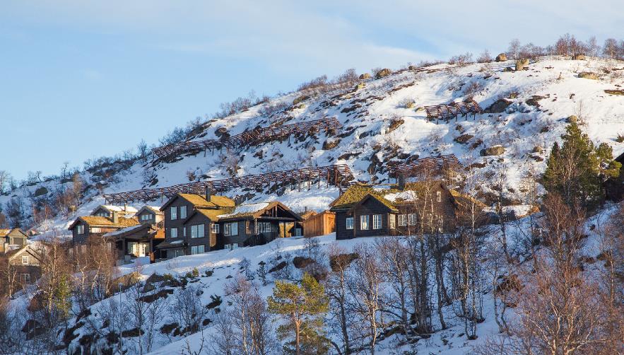 Sikringstiltak mot snøskred