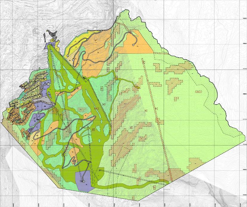 Plankart med omsynssoner for ras- og skredfare. Byggjeområda er plasserte utanfor rasutsette område.