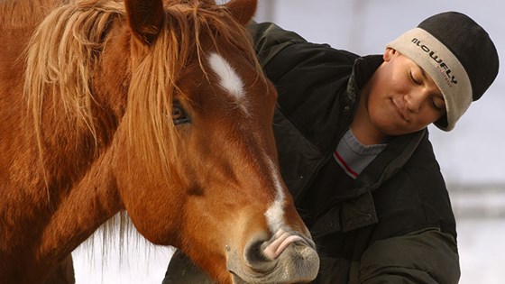 Hest og gutt -avtale-ut-nov15