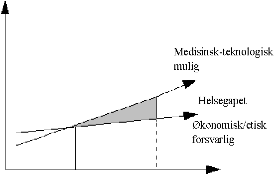 Figur 5.1 «Helsegapet»