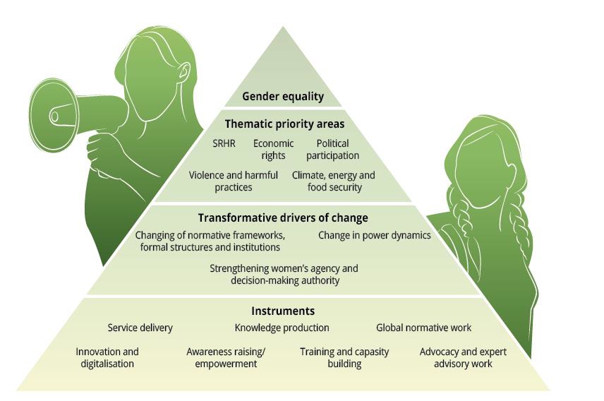 Triangular illustration showing priority areas, change drivers and key instruments in the Action Plan.