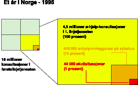 Figur 3.2 «Et år i Norge - 1996»