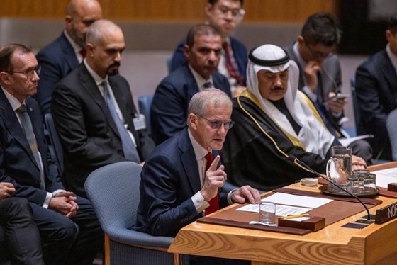 Statsministeren i Sikkerhetsrådet