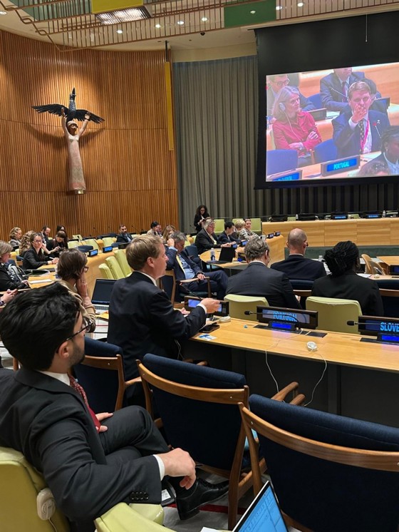 Utviklingsministeren om reform av humanitørsystemet