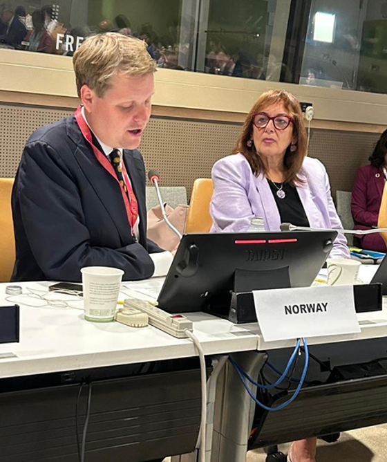 Utviklingsministeren i møte om sammenhengen mellom humanitært arbeid, utvikling og fred