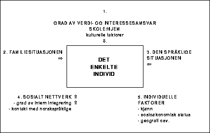 Figur 3.1 Sentrale faktorer som innvirker på læring og sosialisering i en
 minoritetssituasjon.
