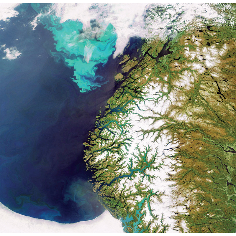 Figur 2.1 Oppblomstring av plankton på norskekysten. Bilde fra Envisats MERIS som er optimert for å fange opp farge i havet
