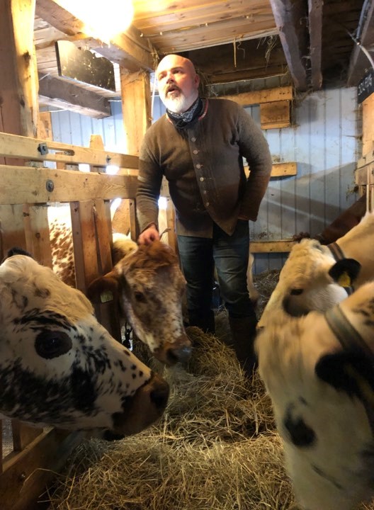 Jon Fredrik Skauge er stolt av både Drople og de andre kyrne som produserer kvalietsmelk til rømme og smør, som leveres til Michelinrestauranten Credo i Trondheim.