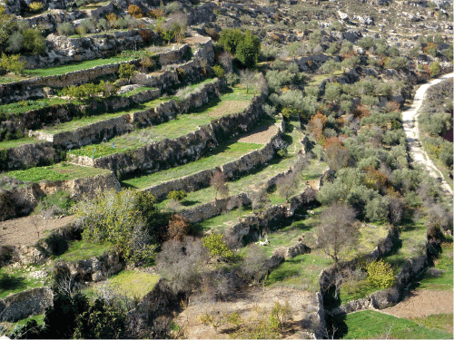 Figur 9.1 Palestinsk kulturlandskap. En del av stats- og nasjonsbyggingen.