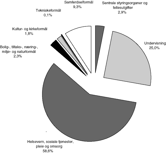 Figur 7.8 Fordeling av driftsutgifter på hovedkapittel. Fylkeskommunene. 1996