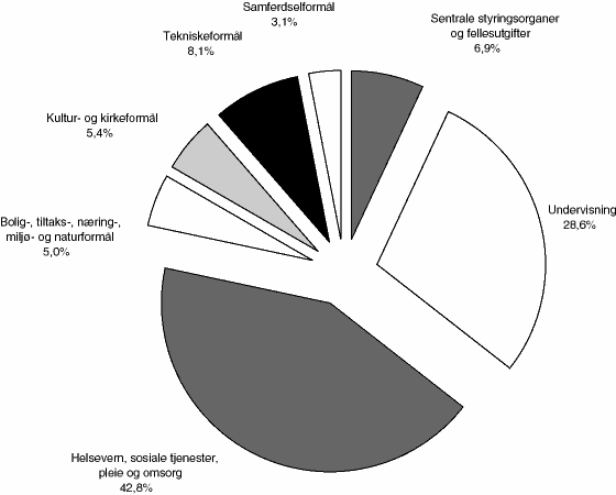 Figur 7.9 Fordeling av driftsutgifter på hovedkapittel. Kommunene inkl Oslo. 1996.