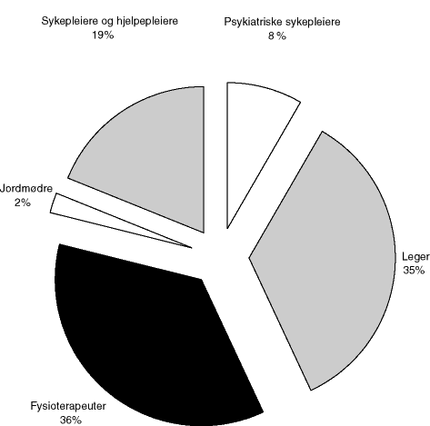 Figur 8.10 Utførte årsverk av ulike yrkesgrupper i kommunehelsetjenesten. Prosent. 1996.
