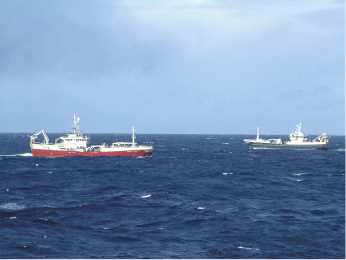 Figur 3.8 På kolmulefeltet
