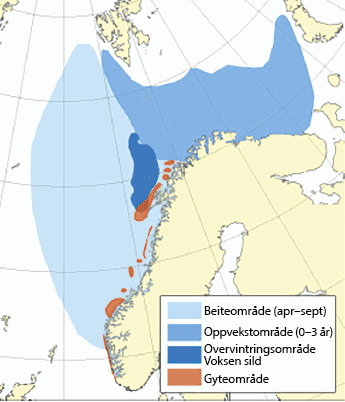 Figur 4.26 Utbreiingsområde og gyteområde for nvg-sild
