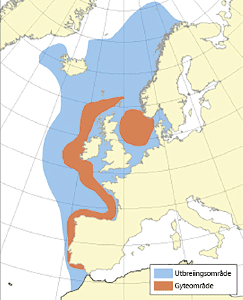 Figur 4.29 Utbreiingsområde og gyteområde for nordaust-atlantisk makrell

