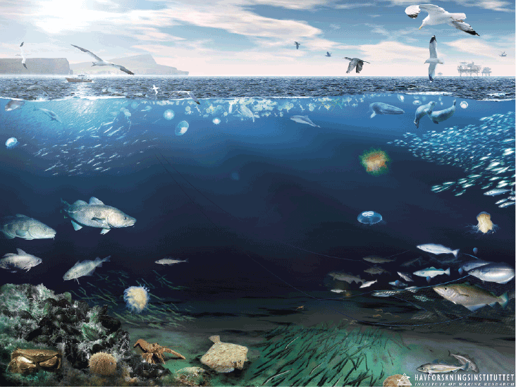 Figur 4.35 Økosystemet i Nordsjøen og Skagerrak
