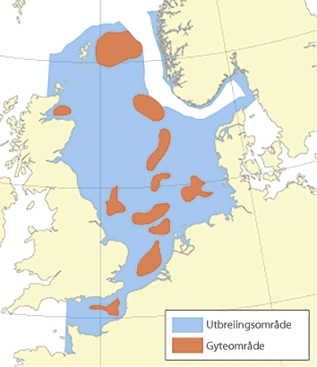 Figur 4.44 Utbreiingsområde og gyteområde for torsk i Nordsjøen, Skagerrak og den austlege engelske kanalen
