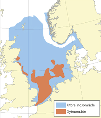 Figur 4.53 Utbreiingsområde og gyteområde for raudspette i Nordsjøen og Skagerrak
