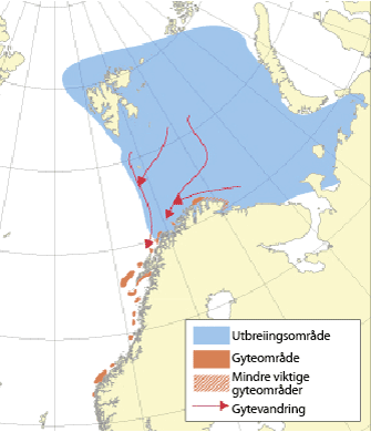 Figur 4.6 Utbreiingsområde og gyteområde for nordaust-arktisk torsk
