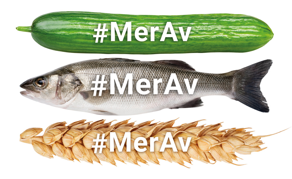 Figur 6.3 Bilete av kampanjeelement som blir nytta i #Merav-kampanjen i 2018.
