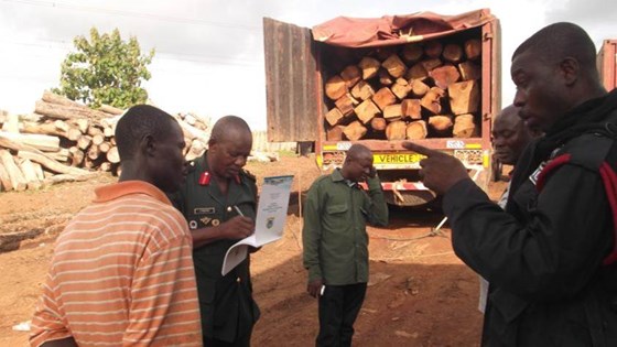 Politi undersøker tømmerlast i Ghana