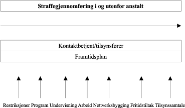 Figur 2.5 Helhet og systematikk i straffegjennomføringen