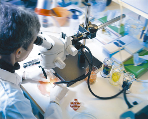 Figur 1.1 Regjeringen vil bidra til marin næringsutvikling ved økt satsning på kunnskap og forskning.