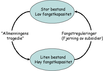 Figur 10.6 «Allmenningens tragedie».
