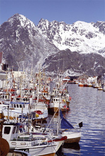 Figur 10.9 Fiskebåter ved kai i Lofoten.