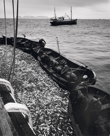 Figur 3.1 Tidligere tiders fiske var svært ressurskrevende preget av små båter og mange fiskere. Her fra sildefisket.