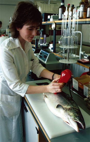 Figur 3.10 Tilgang på kompetent arbeidskraft er avgjørende for å lykkes med marin næringsutvikling.