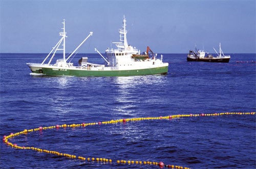 Figur 5.3 Høsting i et rent hav sikrer trygg sjømat og gir Norge. konkurransefortrinn i det globale markedet.