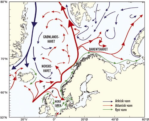 Figur 5.4 Norske farvann påvirkes av internasjonale havstrømmer.