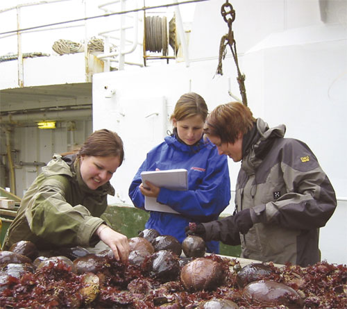 Figur 6.9 Norges fiskerihøgskole i Tromsø driver utdanning i fiskeri- og havbruksfag. Her fra en feltundersøkelse på tokt.