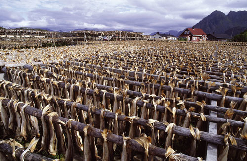 Figur 8.4 Konvensjonell sektor med klippfisk, saltfisk og tørrfisk utgjør den største delen av hvitfiskindustrien med størst konsentrasjon i Nordland og Møre og Romsdal.
